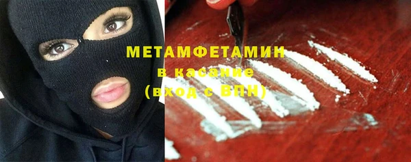 прущие грибы Куйбышев