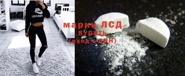 прущие грибы Куйбышев