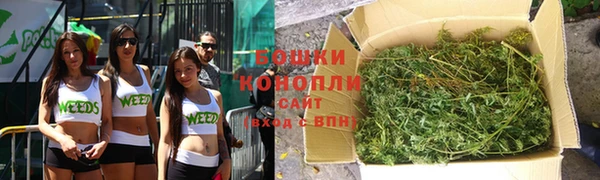 прущие грибы Куйбышев