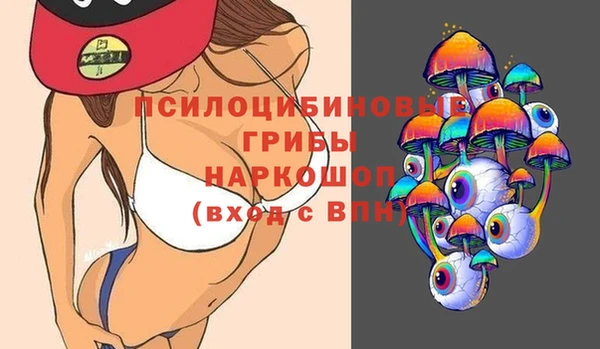 прущие грибы Куйбышев